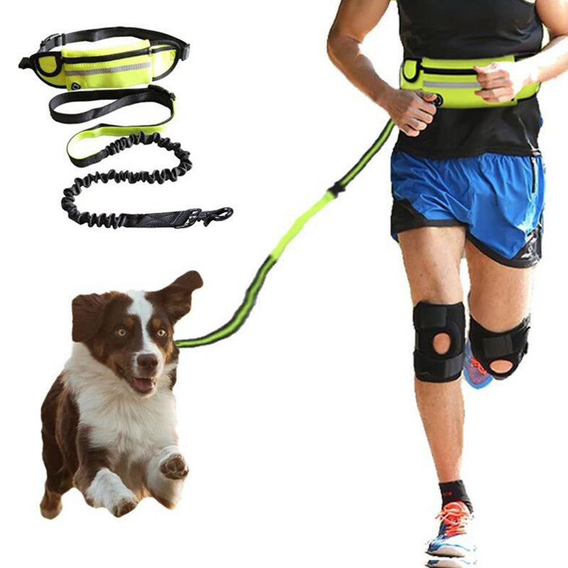 Hands-free bungee dog leash with adjustable waist belt and storage pockets.