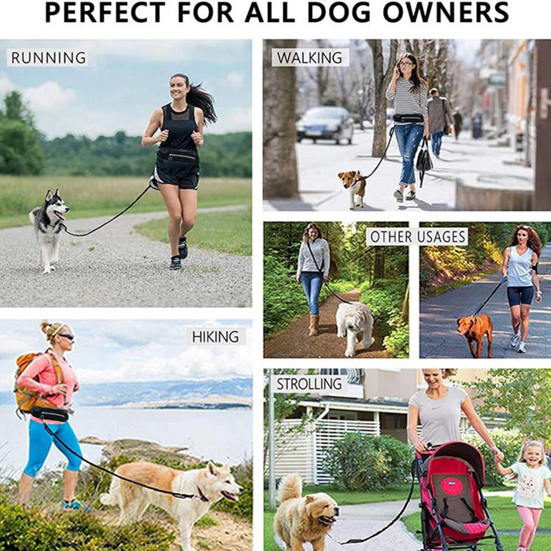 Hands-free dog leash worn while walking outdoors